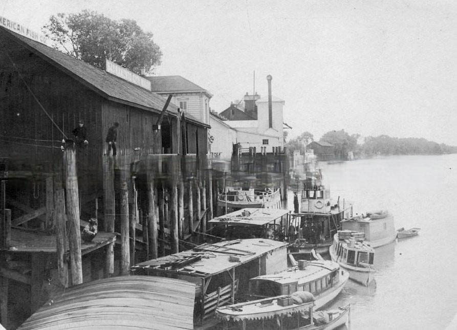 #18 Sacramento water front, Sacramento City Wharf, American Fish Co., 1885