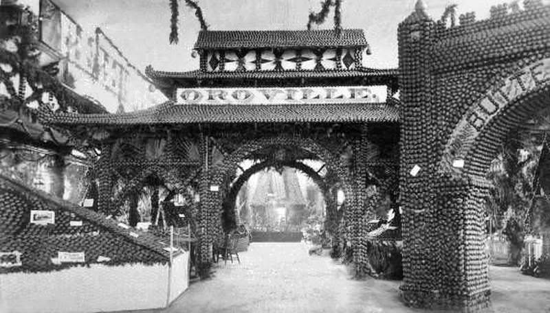 #178 Butte County Citrus Fair, 1887