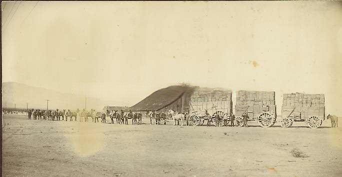 #55 View of the 20 Mule Borax Team No. 2 of the San Bernardino Borax Mfg. Co. in Mojave, 1880
