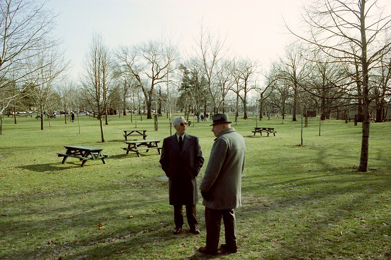 #141 High Park, Toronto, 1982