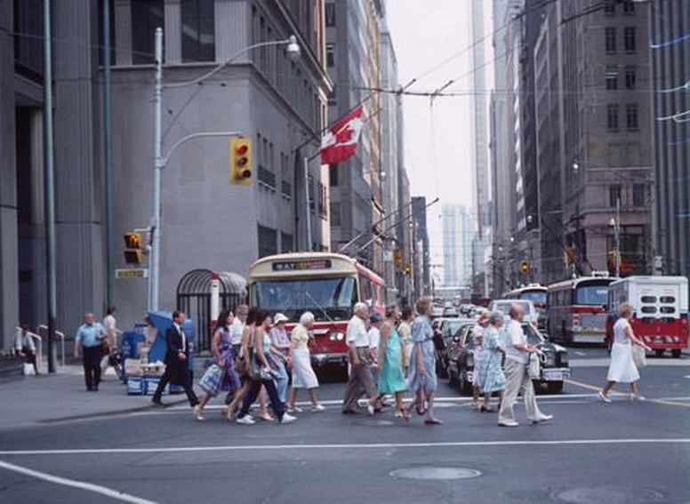 #65 Bay Street trolley buses, July 18, 1983.