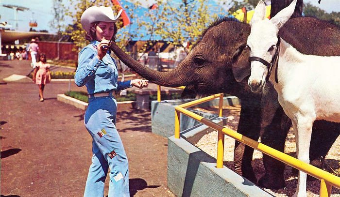#182 Elephants were part of the appeal of newly-opened Six Flags Over Texas in 1961.