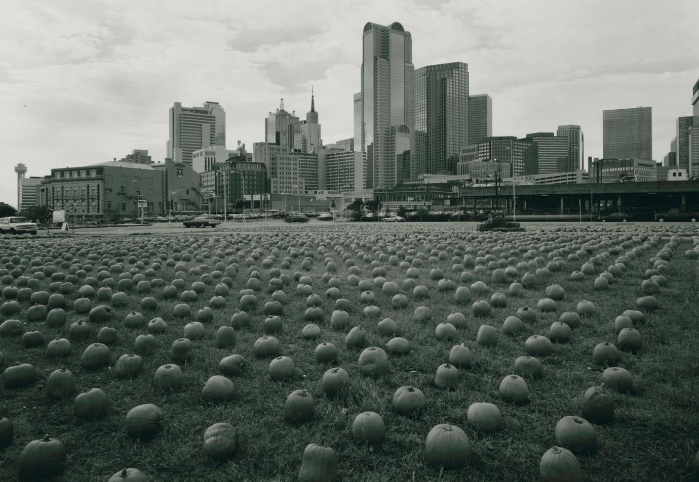 #10 Pumpkin fields in Dallas, 1960s