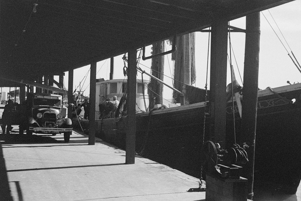 #34 Fishing boats in harbor, Newport News, Virginia, 1936