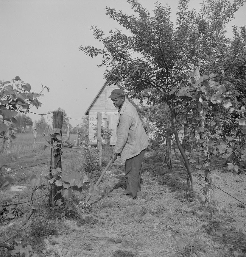 #54 Shipyard worker at his rural home, 1942