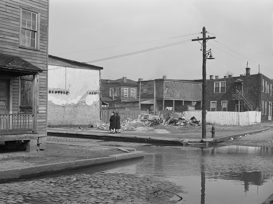 #67 Untitled photo, possibly related to: Backed up sewer in a slum district, Norfolk, Virginia, 1941
