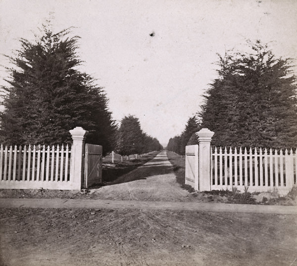 #21 Julia Street, looking North from 12th, Oakland, 1860s