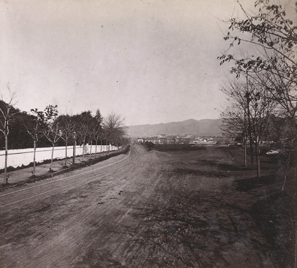 #46 Telegraph Road, from the Junction, Oakland, 1867