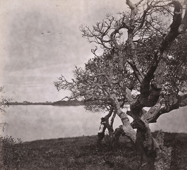 #65 View on Lake Merritt, Oakland, 1864