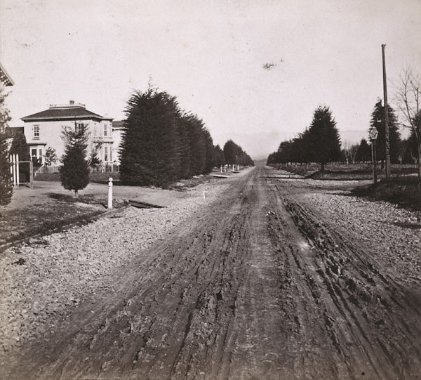 #15 Jackson Street, looking North, Oakland, 1862