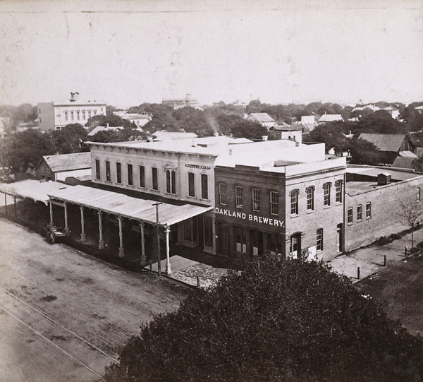 #20 General View of Oakland, from Wilcox Block, looking Northeast, 1861