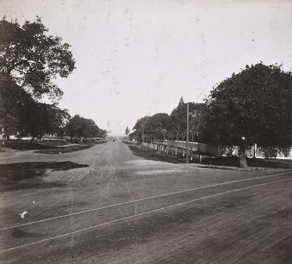 #4 San Pablo Road, from the Junction, Oakland, 1860