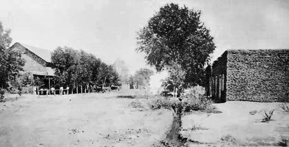 #20 In the mid-1870s, Phoenix was an adobe village. This is Washington Street downtown.