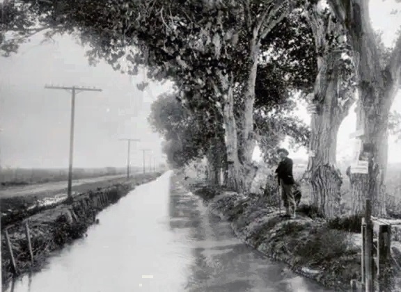 #23 It’s hard to imagine the Valley without its canals and laterals.