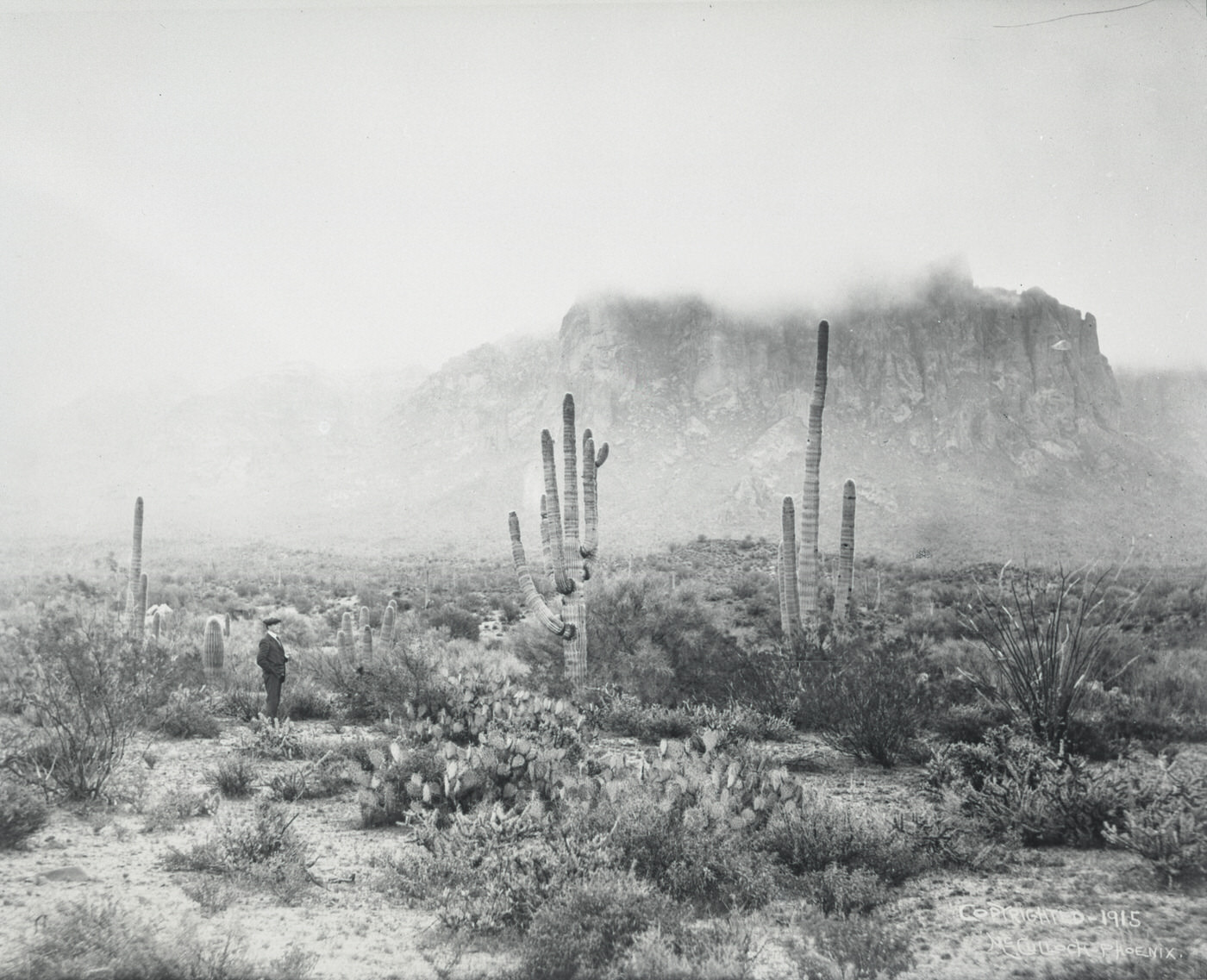 #67 Rim of the Superstition Mts, 1915