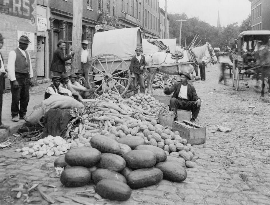 #103 Sixth Street market, Richmond, 1908