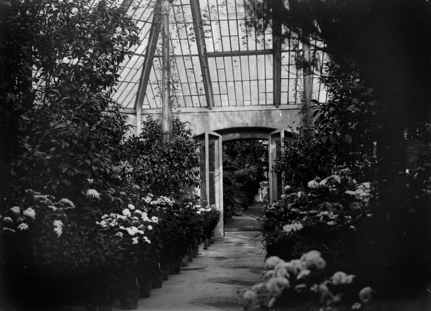 #128 Royal Kew Gardens Angleterre, 1900