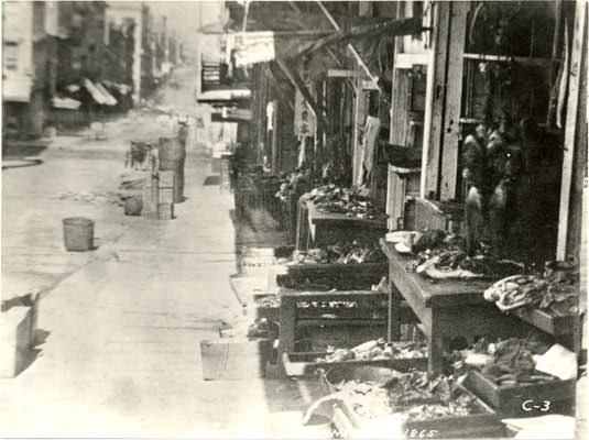 #159 Stores on Sacramento Street in Chinatown, 1865