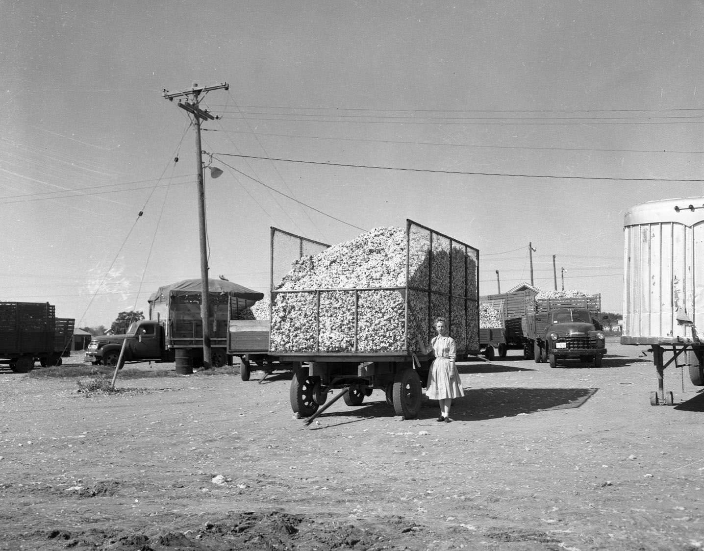 #117 Woman Standing by Truck, 1958