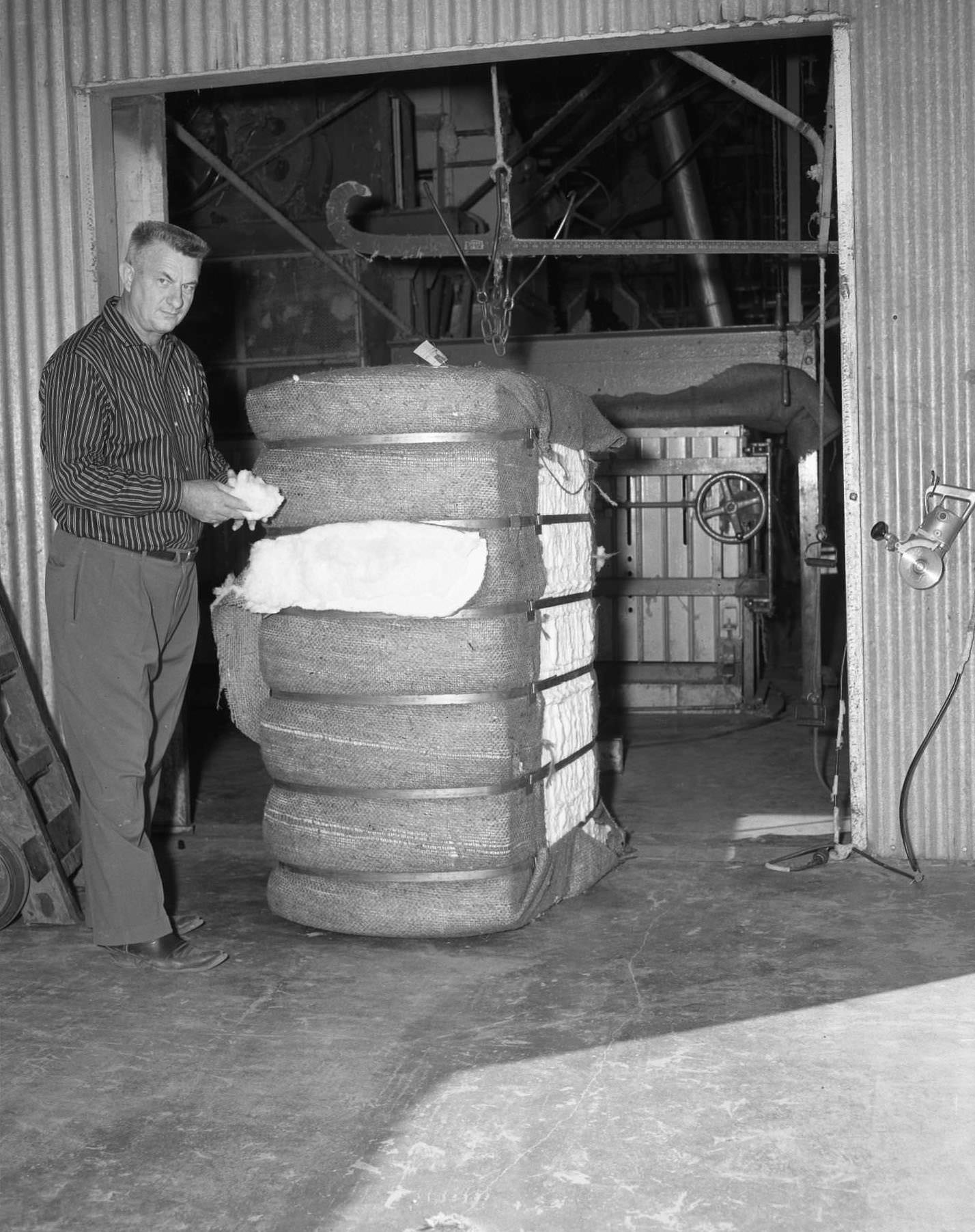 #125 Man Holding Cotton at Cotton Gin, 1958
