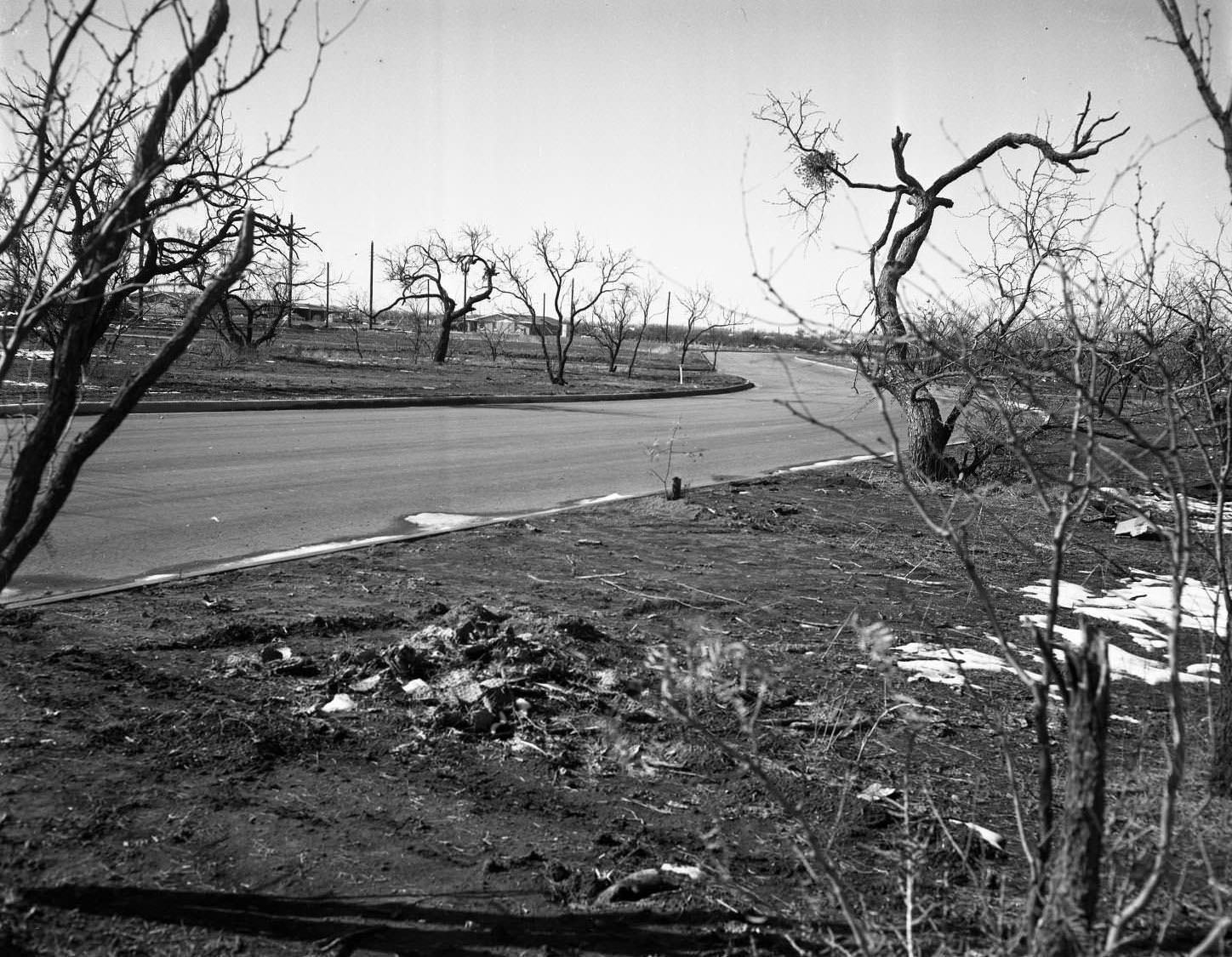 #160 River Oaks Residential Neighborhood, 1955