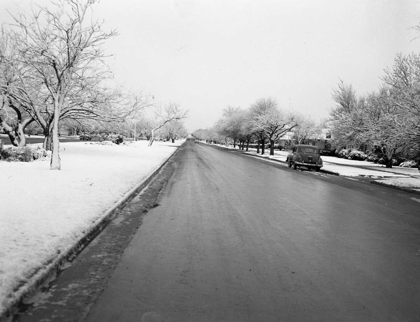 #207 A street scene with the sidewalks and vegetation all covered in snow, 1959
