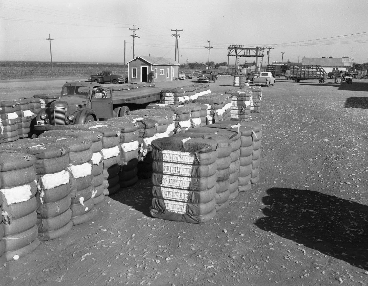 #179 Stacks of Cotton at a Cotton Gin, 1958