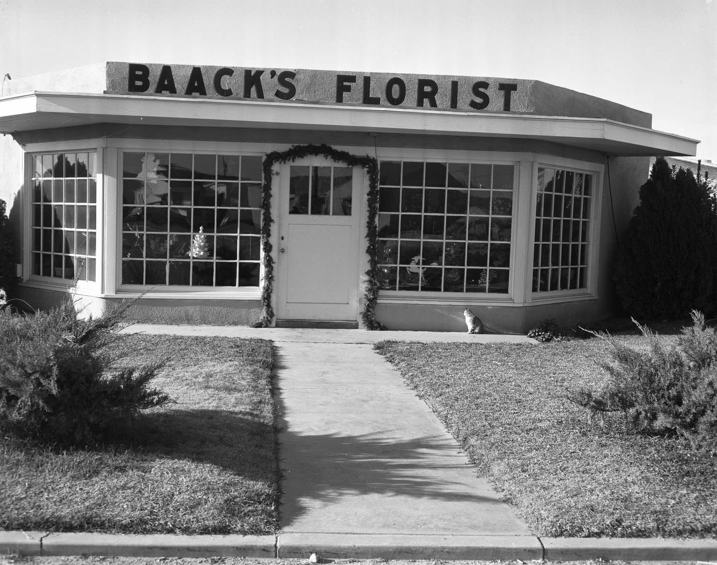 #1 Baack’s Florist, 1954. The building has a sign in front and large display windows. There is a cat sitting on the sidewalk in front of it.
