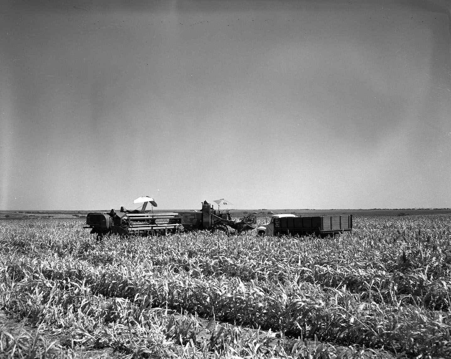 #68 A truck and farming equipment in crops, 1955
