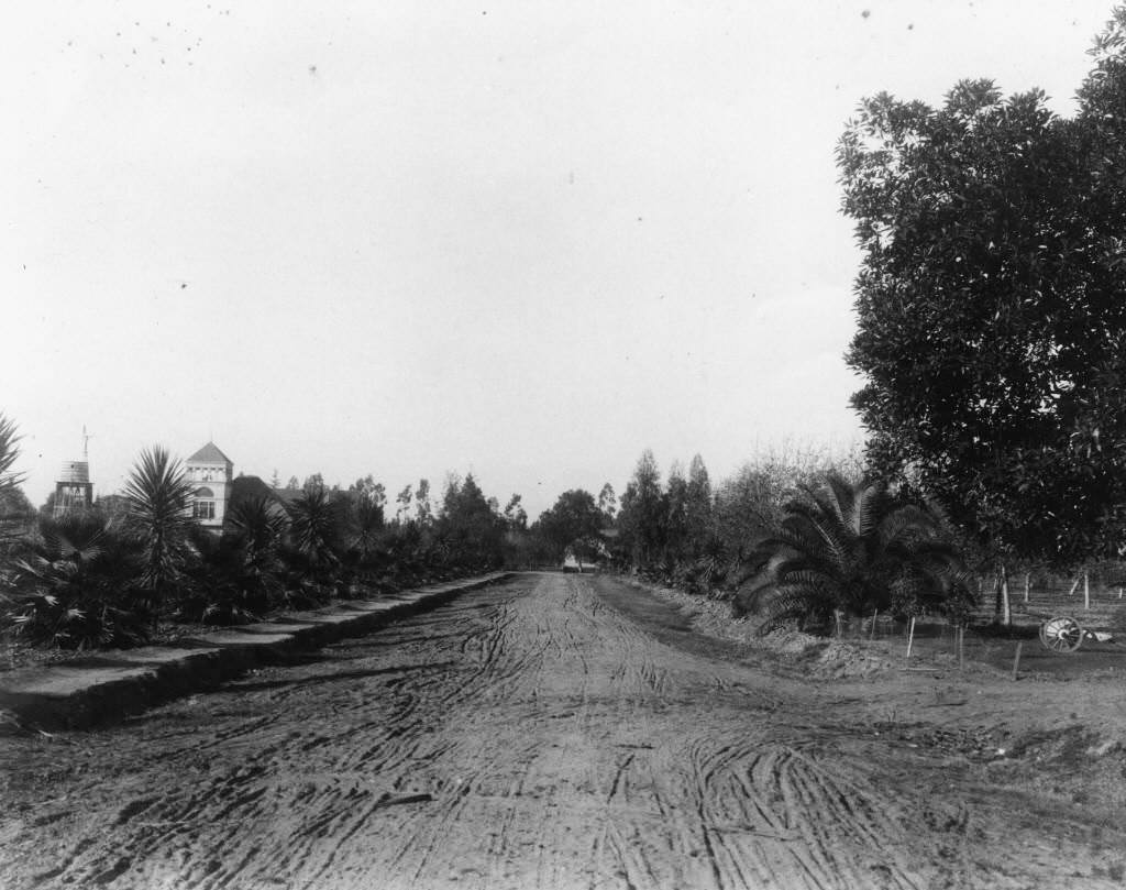 #117 Mable Street in West Anaheim, 1895
