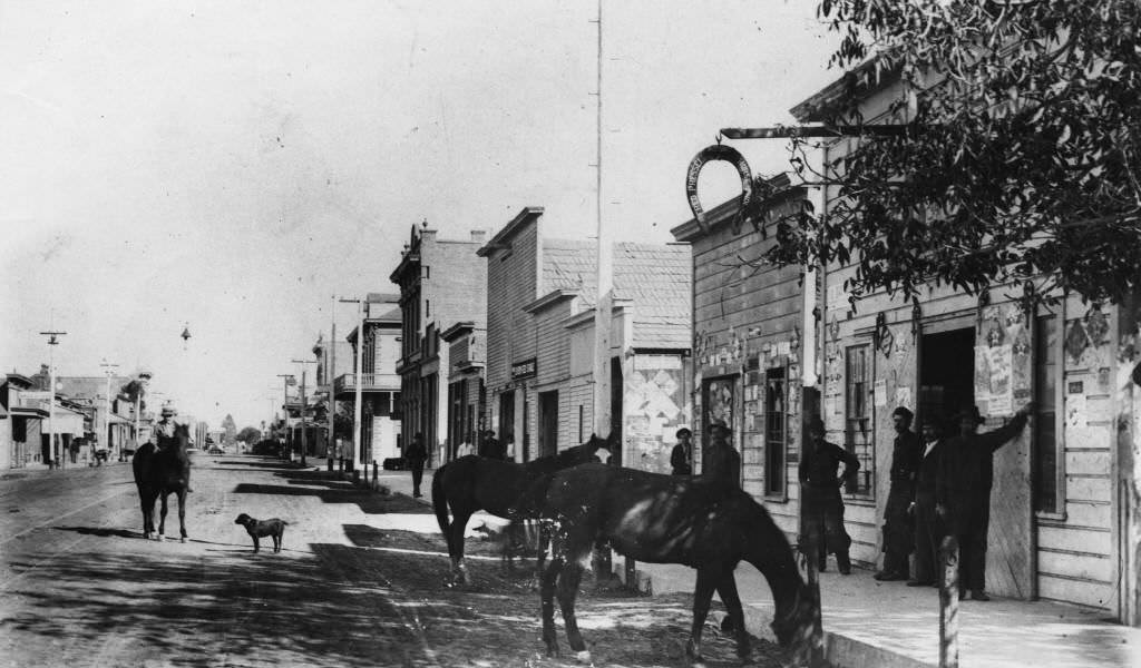 #146 Center Street, Anaheim, 1884