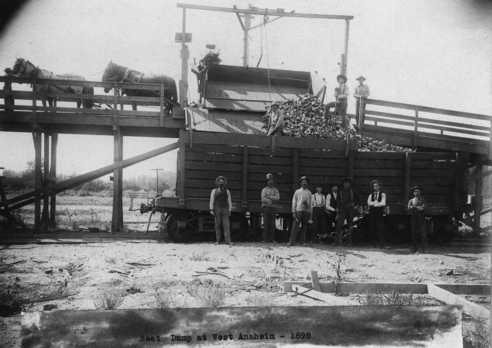 #154 Carroll Beet Dump in West Anaheim, 1898