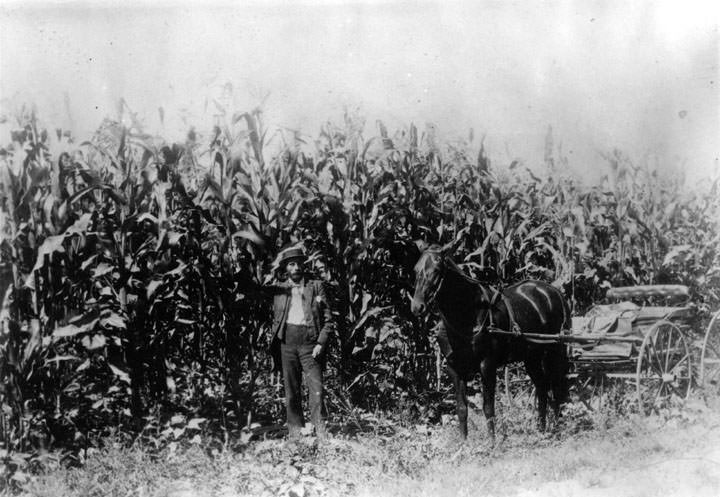 #162 P. A. Stanton on his property at N. E. corner of Brookhurst & Ball Rds in the late 1890s