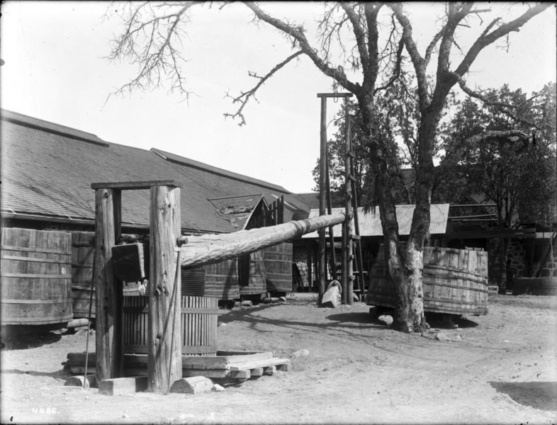 #169 An early wine press, possibly Anaheim, California, 1895.