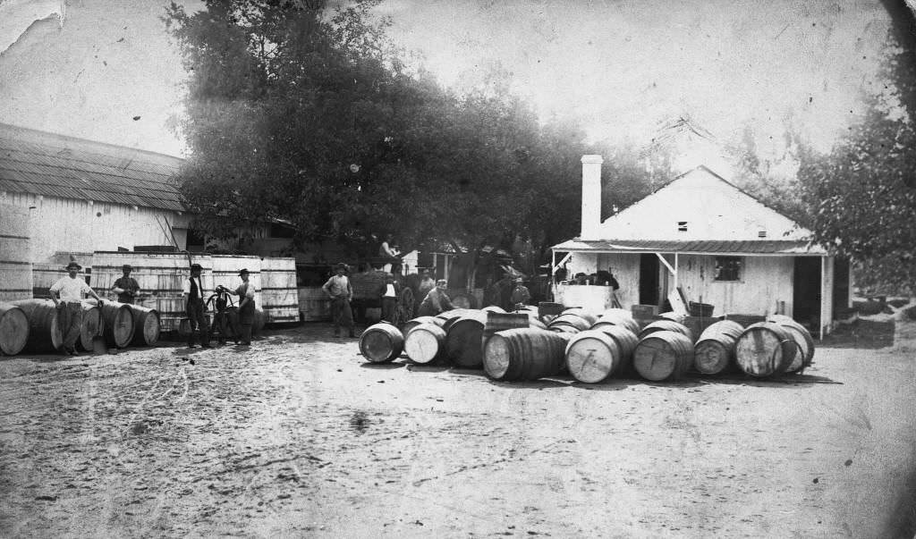 #27 Dreyfus Winery, Anaheim, 1884