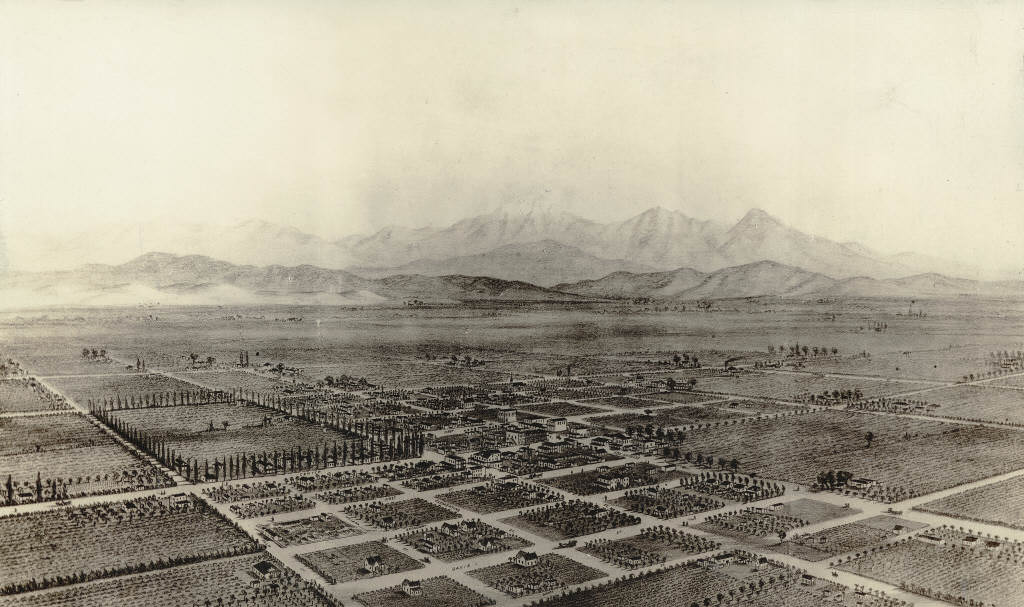 #2 Bird’s Eye View of Anaheim, 1876