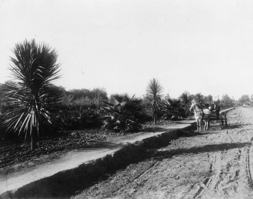 #88 Mable Street in West Anaheim, 1894