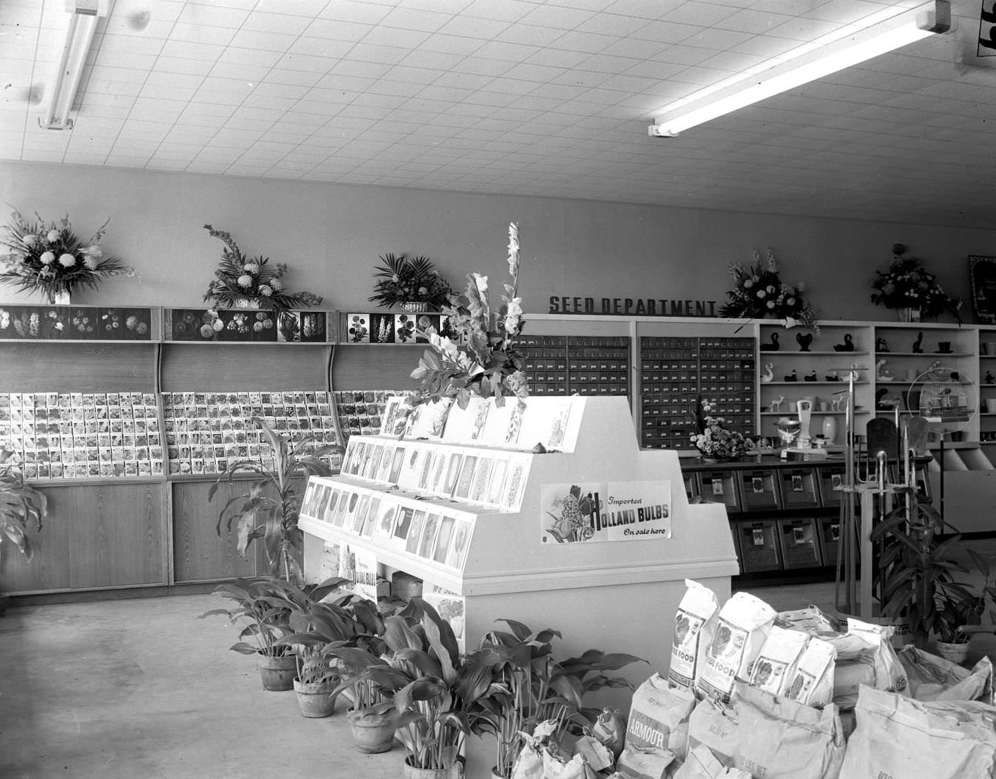 #190 Capitol Seed House No. 2, 1951