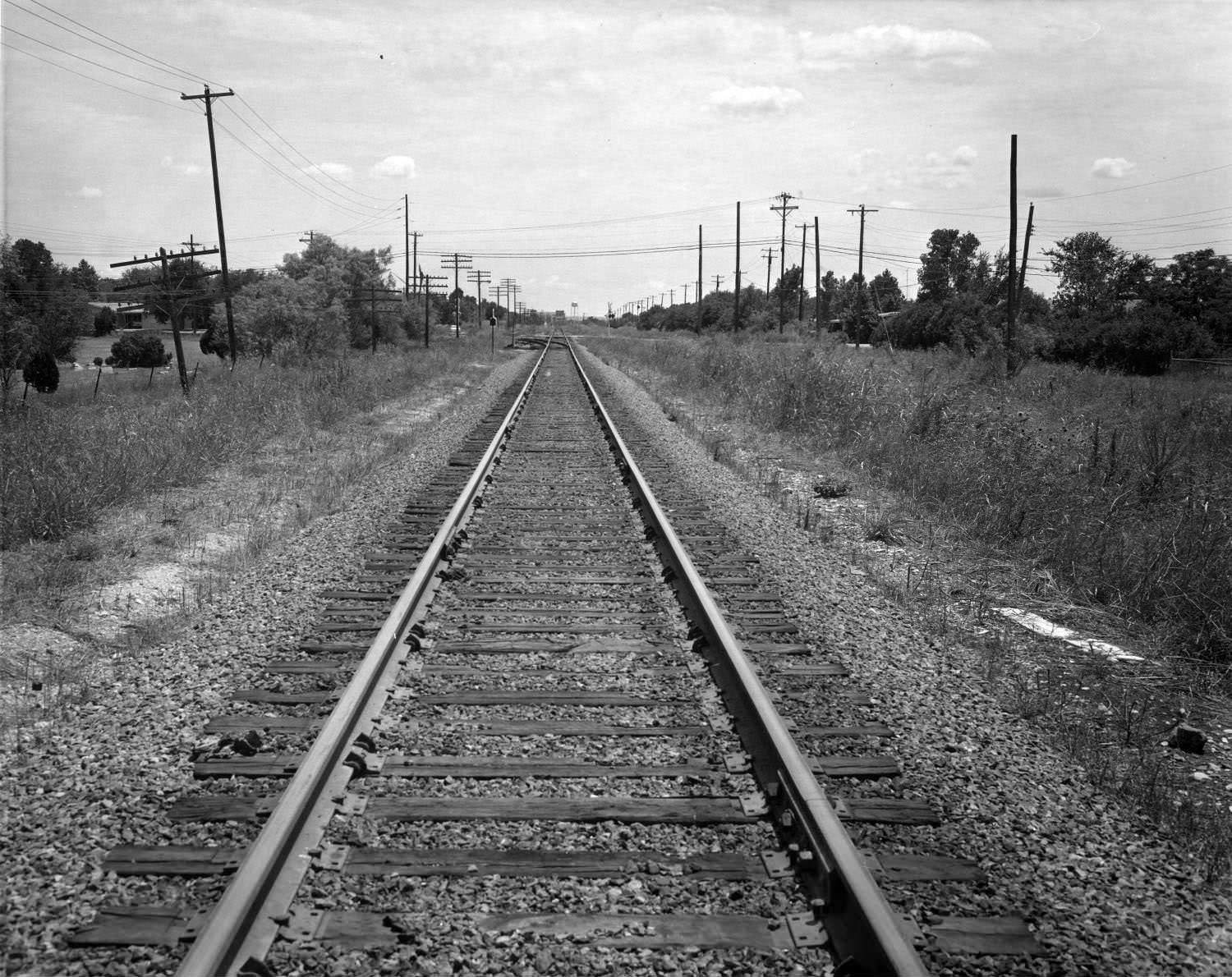 #96 Railroad tracks near Austin, 1966.