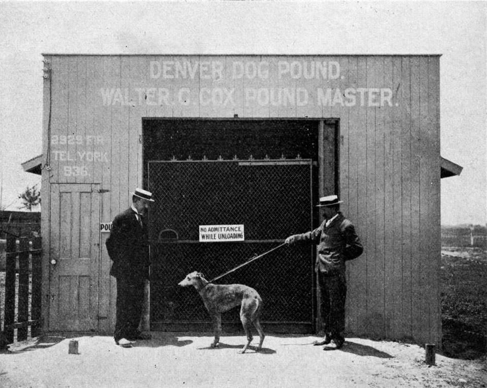 #70 The Denver Dog Pound with animal control officials and dog posing outside of the building, 1909