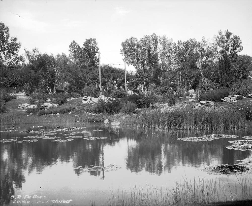 #12 View of the lily pond and rock garden at Washington Park in Denver, 1909