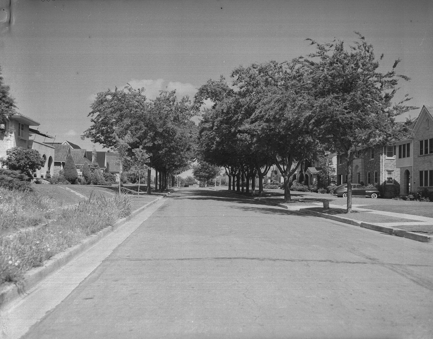 #71 Trees along 2200 block of Huntington, Fort Worth, Texas, 1947
