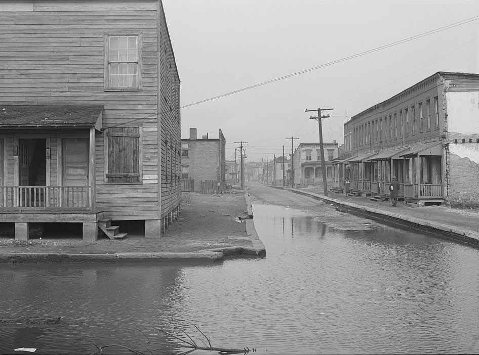#160 Backed up sewer in Negro slum district. Norfolk, Virginia,1941