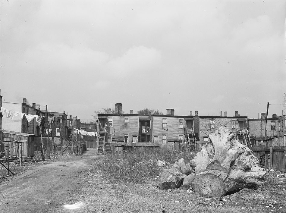 #169 Slum district. Norfolk, Virginia, 1941