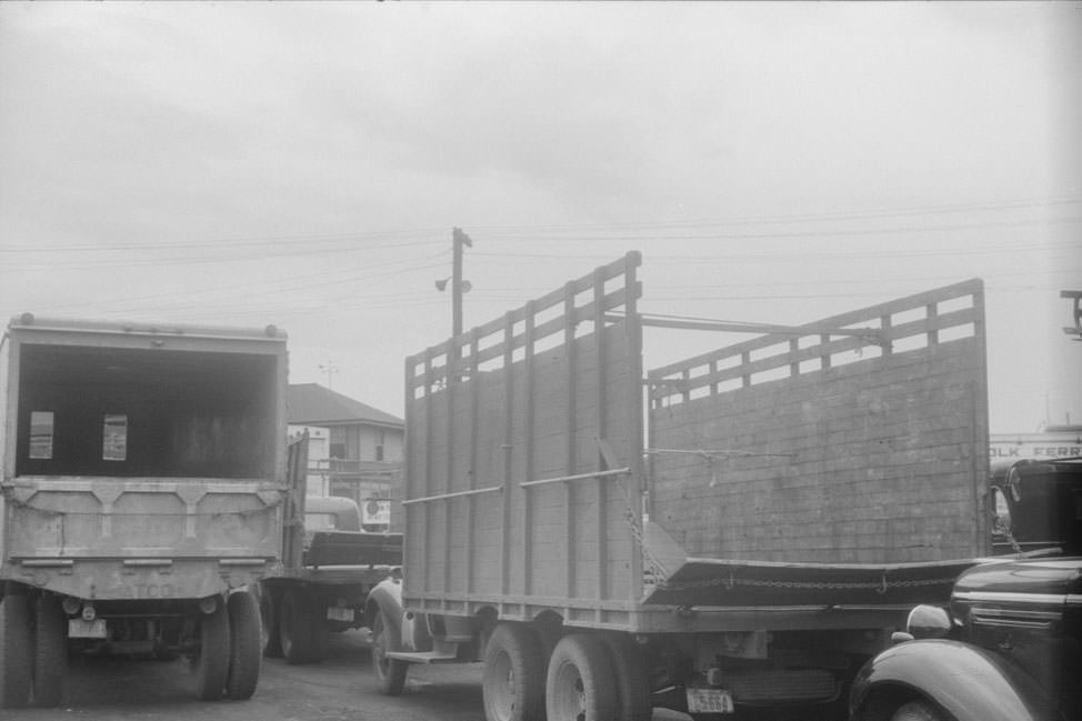 #190 Trucks waiting at Cape Charles, Virginia for ferry to Norfolk, Virginia, 1940
