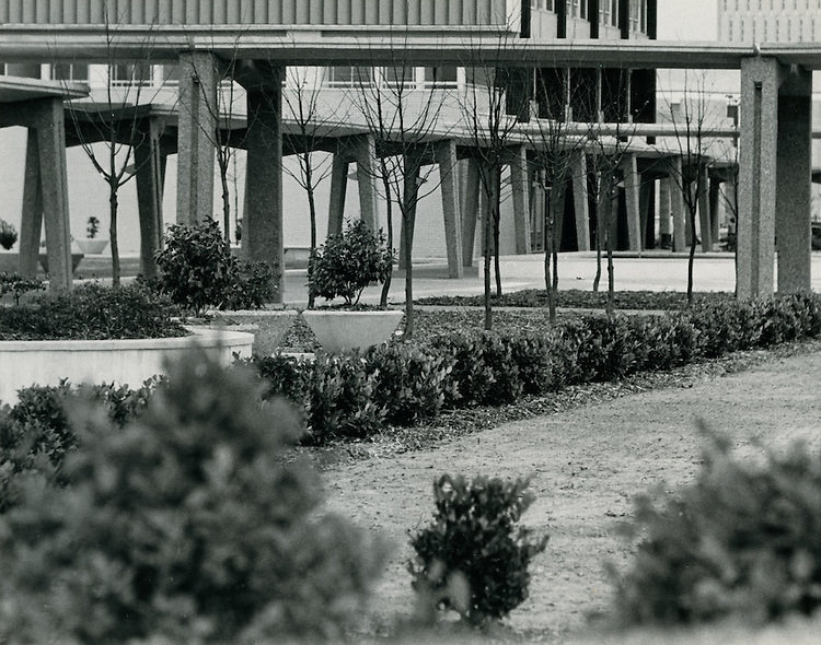 #92 Historical.Downtown North.Downtown Financial District. November 12, 1963