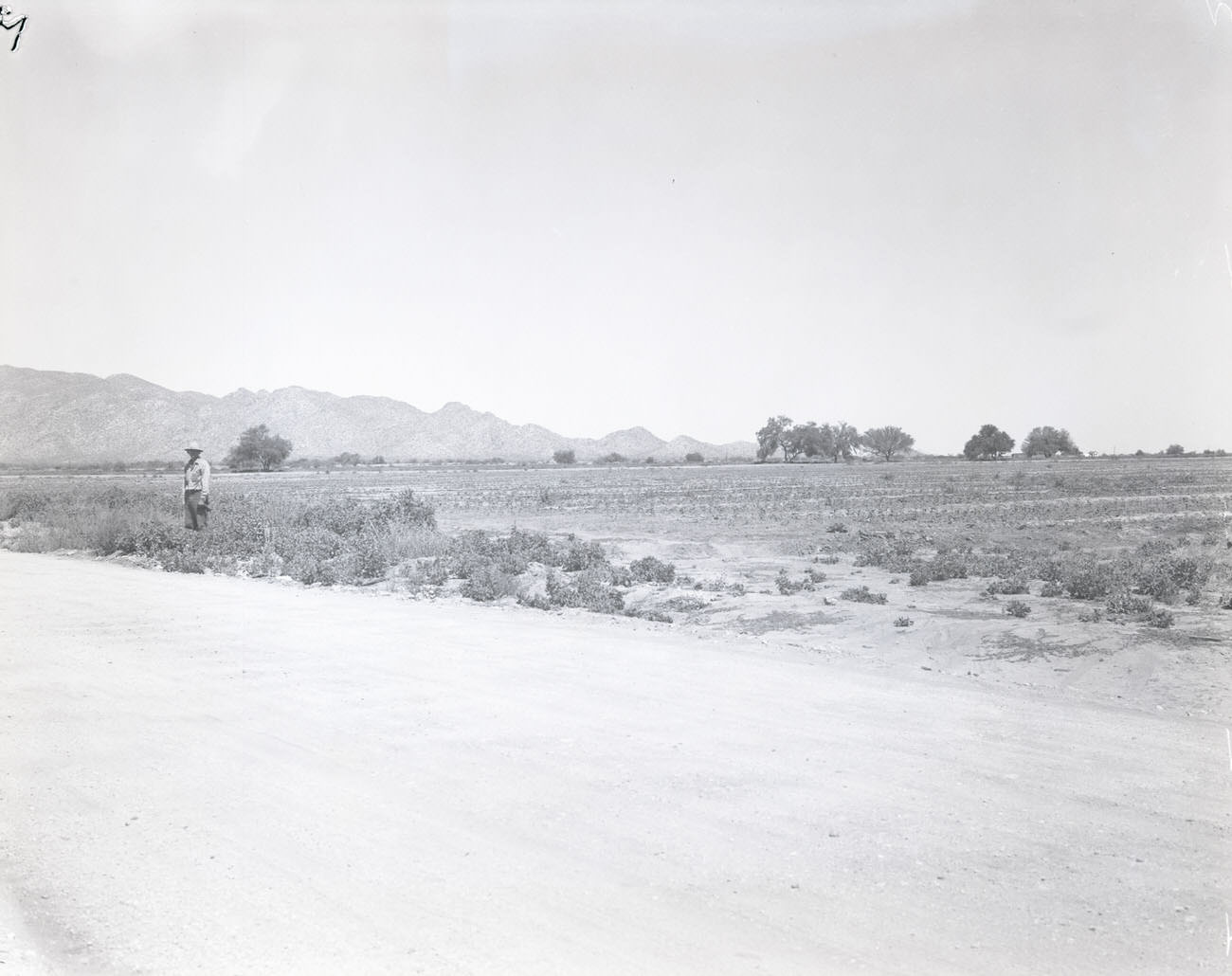 #20 Road in Desert, 1942