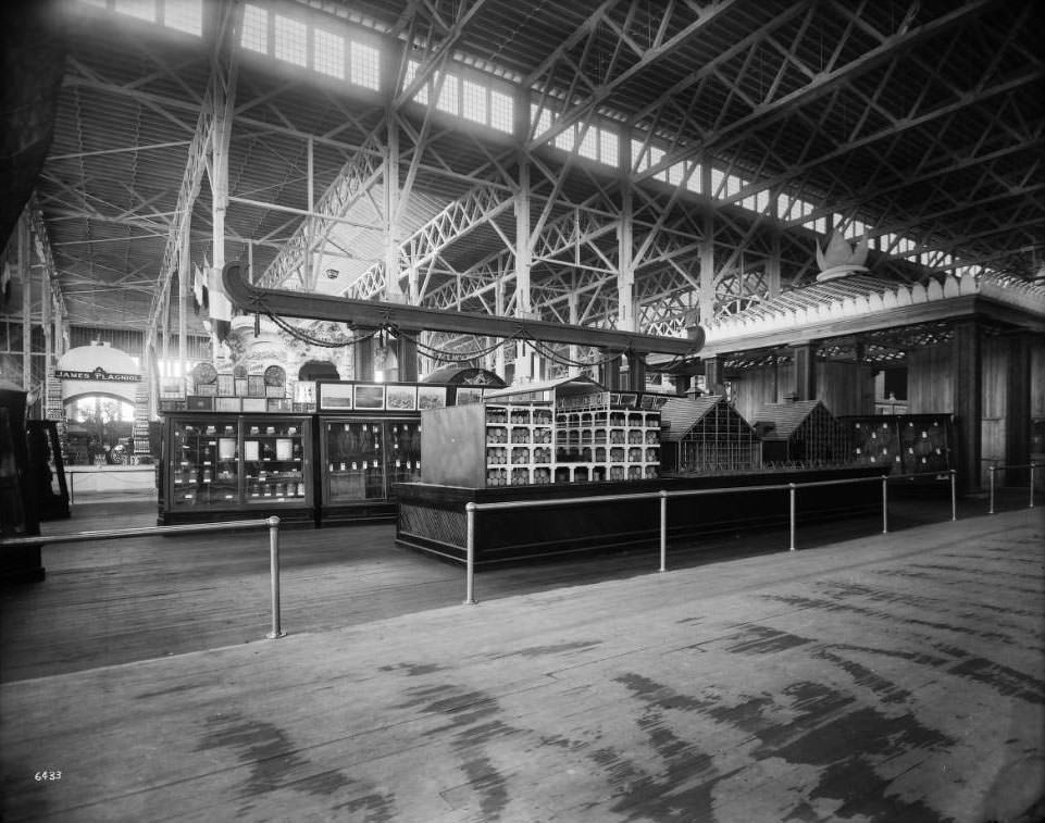 #189 Kentucky exhibits in the Palace of Agriculture, 1904