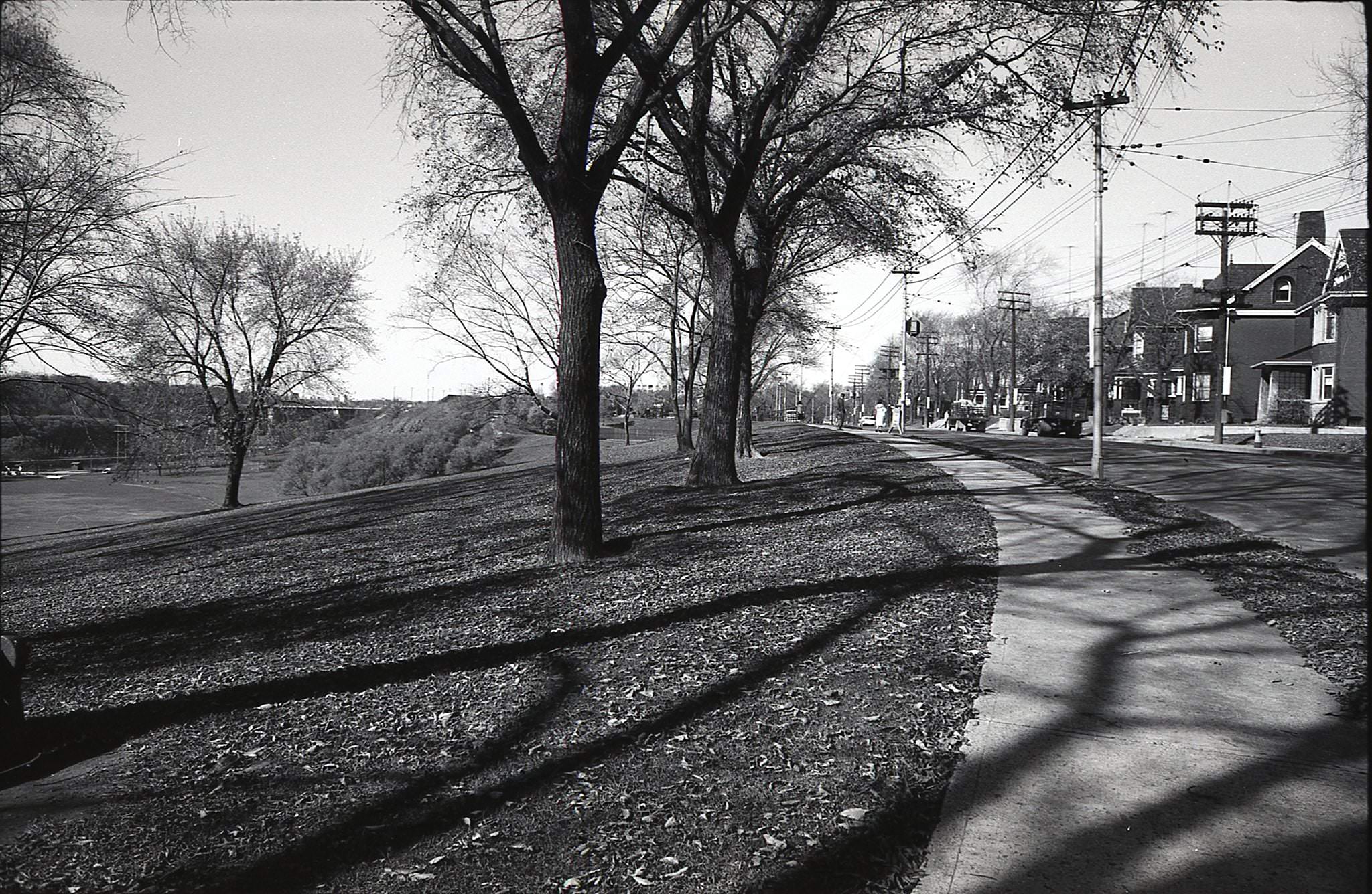 #147 Looking over Riverdale Park, toward the Prince Edward Viaduct, from the west side of Broadview Avenue, south of Withrow, 1960.