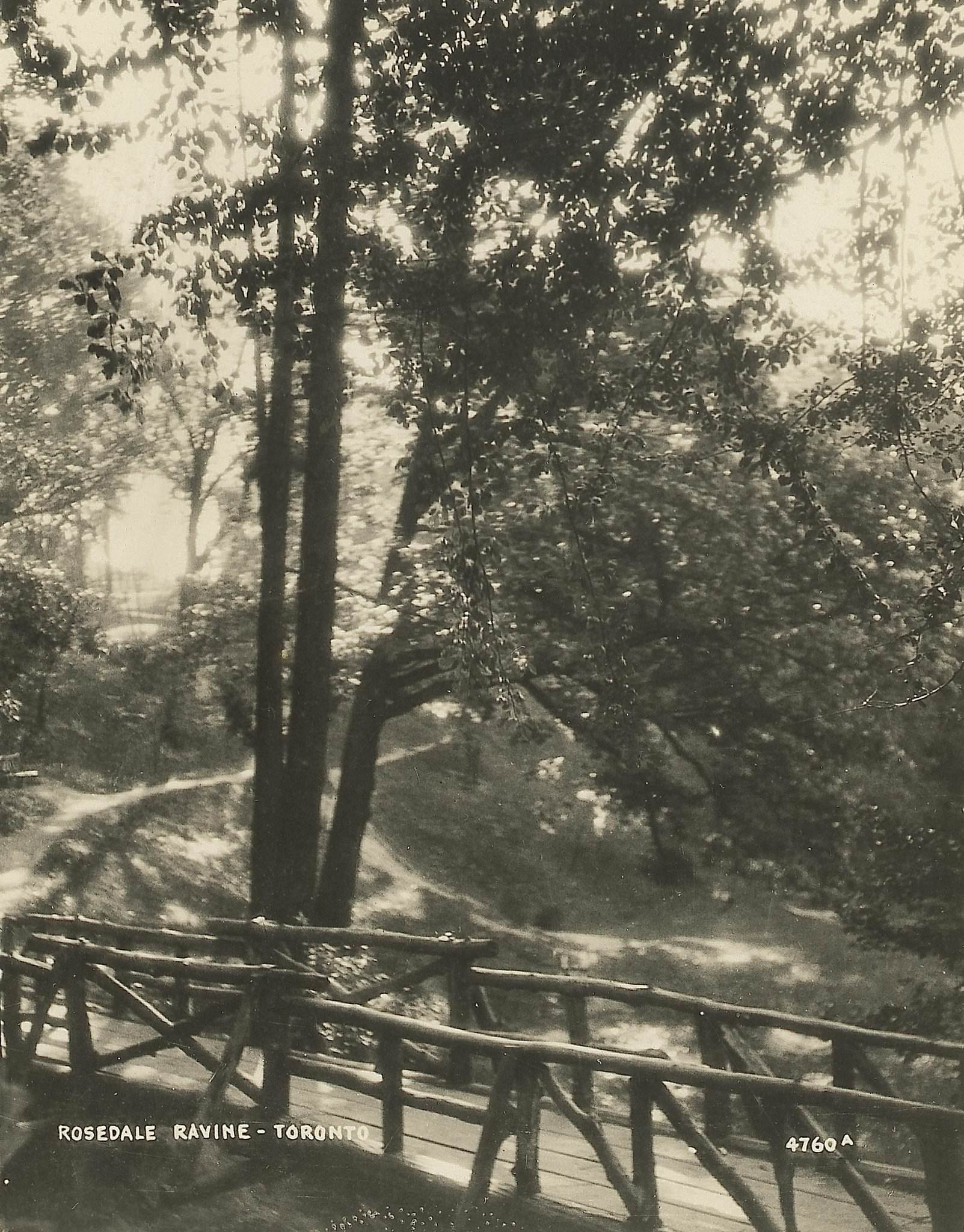 #3 Rosedale Ravine, Toronto, 1925.